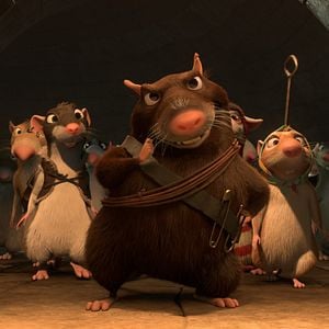 Fotoğraf Muhteşem Kedi Maurice