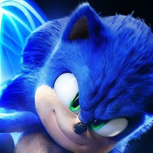 Fotoğraf Kirpi Sonic 3