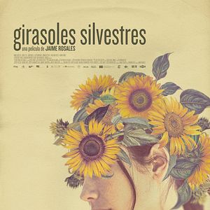 Fotoğraf Girasoles silvestres
