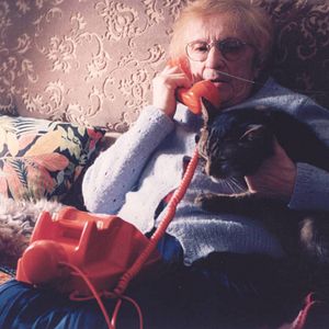 Fotoğraf Herkes Kendi Kedisini Arar