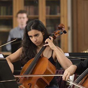 Fotoğraf Divertimento