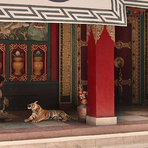 Fotoğraf Ta'igara: An adventure in the Himalayas