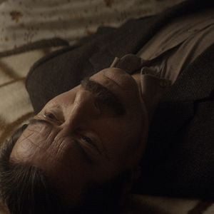 Fotoğraf Anadolu Leoparı