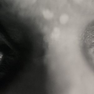 Fotoğraf Werewolf By Night (Black & White)