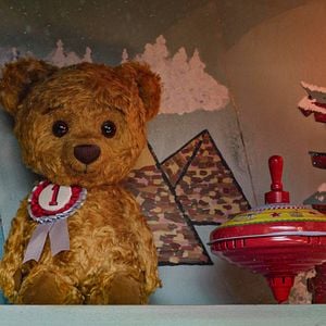 Fotoğraf Ayı Teddy'nin Maceraları