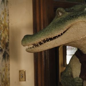 Fotoğraf Tim, Tim, Timsah