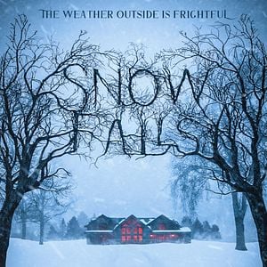 Fotoğraf Snow Falls