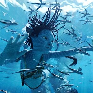 Fotoğraf Avatar: Suyun Yolu