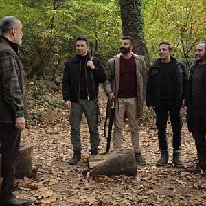 Fotoğraf Yalnız Kurt