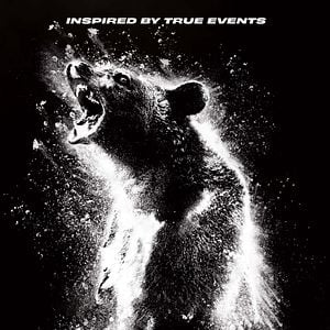 Fotoğraf Çıldırmış Ayı