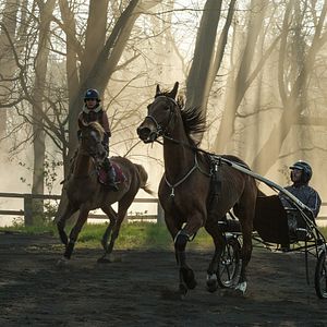 Fotoğraf Pio Marmaï