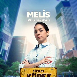 Fotoğraf Dikkat Köpek Var