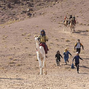 Fotoğraf Zodi et Téhu, frères du désert