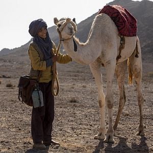 Fotoğraf Zodi et Téhu, frères du désert