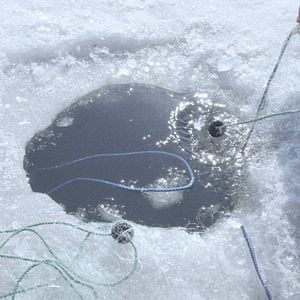 Fotoğraf Unutma Biçimleri