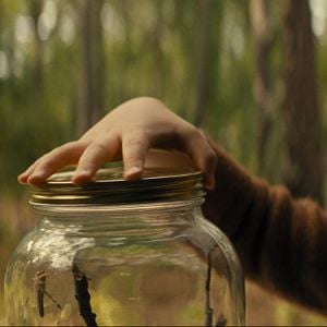 Fotoğraf Kristen Cui