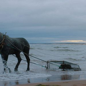 Fotoğraf A Small Fortune