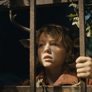 Fotoğraf Sweet Tooth