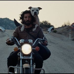 Fotoğraf Karanlık Gece