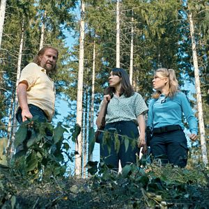 Fotoğraf India Hair