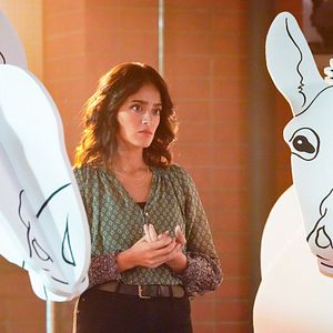 Fotoğraf Mandeep Dhillon