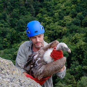 Fotoğraf Benoît Maréchal