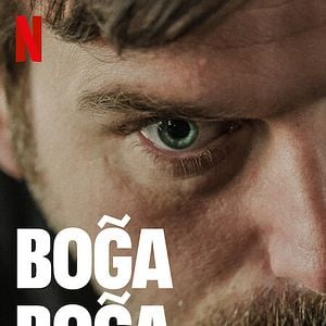 Fotoğraf Boğa Boğa