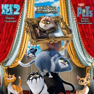 Fotoğraf Kediler Müzede