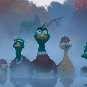 Fotoğraf Ördeklerin Göçü