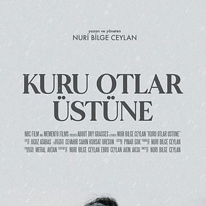Fotoğraf Kuru Otlar Üstüne