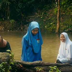 Fotoğraf Tiger Stripes