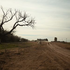 Fotoğraf Trenque Lauquen parte I