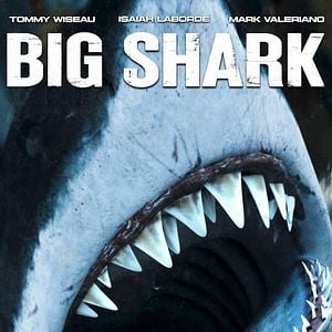 Fotoğraf Big Shark