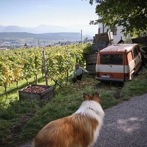 Fotoğraf Maike Jüttendonk