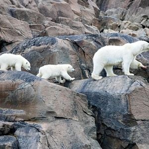 Fotoğraf Gezegenimiz