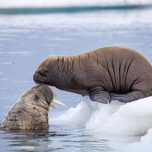Fotoğraf Gezegenimiz