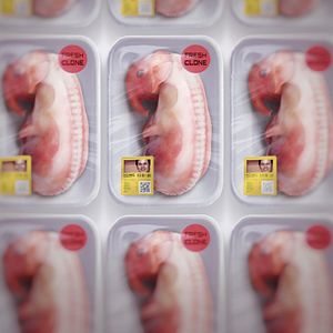 Fotoğraf King of Clones