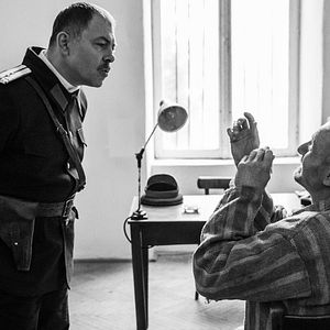 Fotoğraf The Cardinal