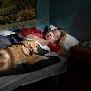 Fotoğraf Sararmış Yapraklar