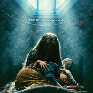 Fotoğraf Örümcek Ağı