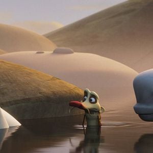 Fotoğraf Cesur Balina Katak