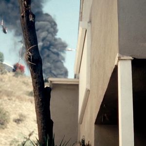 Fotoğraf Something in the Dirt