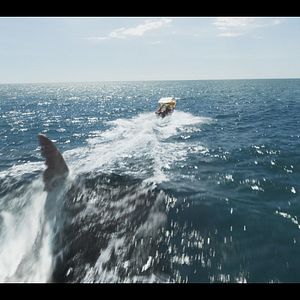 Fotoğraf The Black Demon