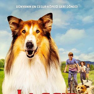 Fotoğraf Lassie: Yepyeni Bir Macera