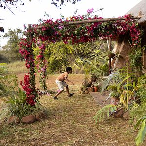 Fotoğraf Thabo - Das Nashorn-Abenteuer