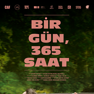 Fotoğraf Bir Gün, 365 Saat