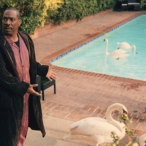 Fotoğraf Candy Cane Lane