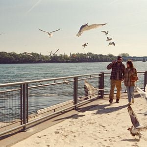 Fotoğraf Simple comme Sylvain