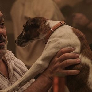 Fotoğraf Thierry Lhermitte