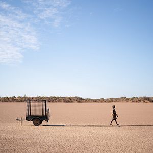 Fotoğraf The Survival Of Kindness